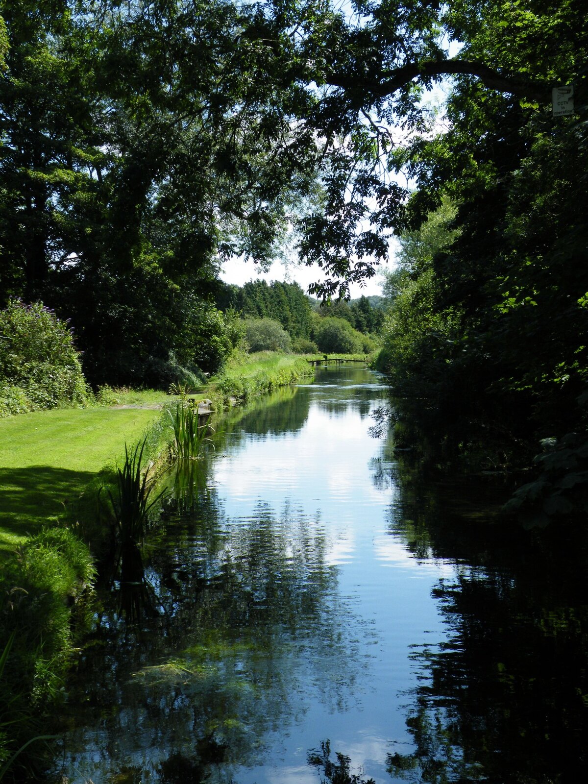 The River Test flowing through green gardens beside Town Mill