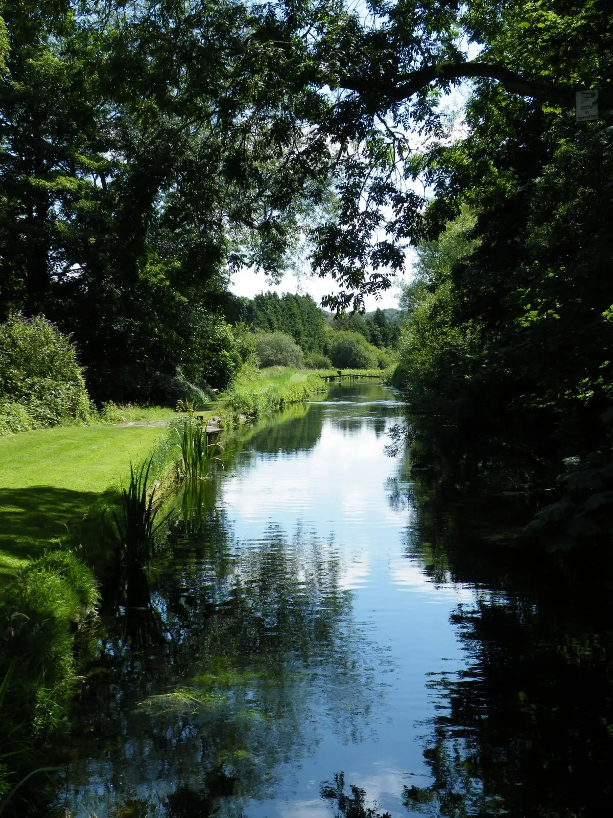 The River Test flowing through green gardens beside Town Mill